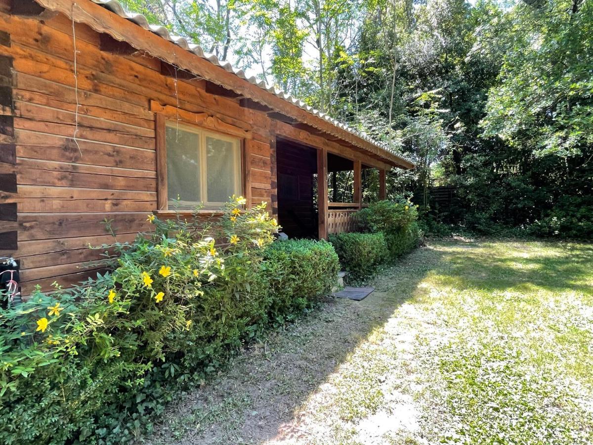 Bastidette Florestane Saint-Rémy-de-Provence Exterior foto